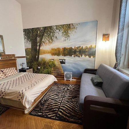 Apartament Ultracentral 2 Piata Muzeului Cluj Napoca Bagian luar foto