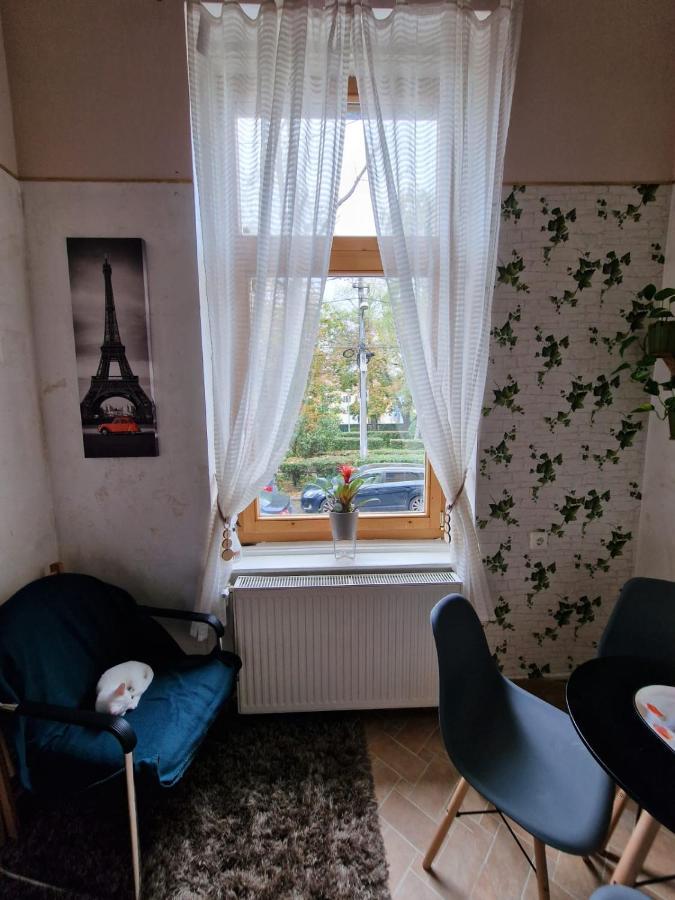 Apartament Ultracentral 2 Piata Muzeului Cluj Napoca Bagian luar foto