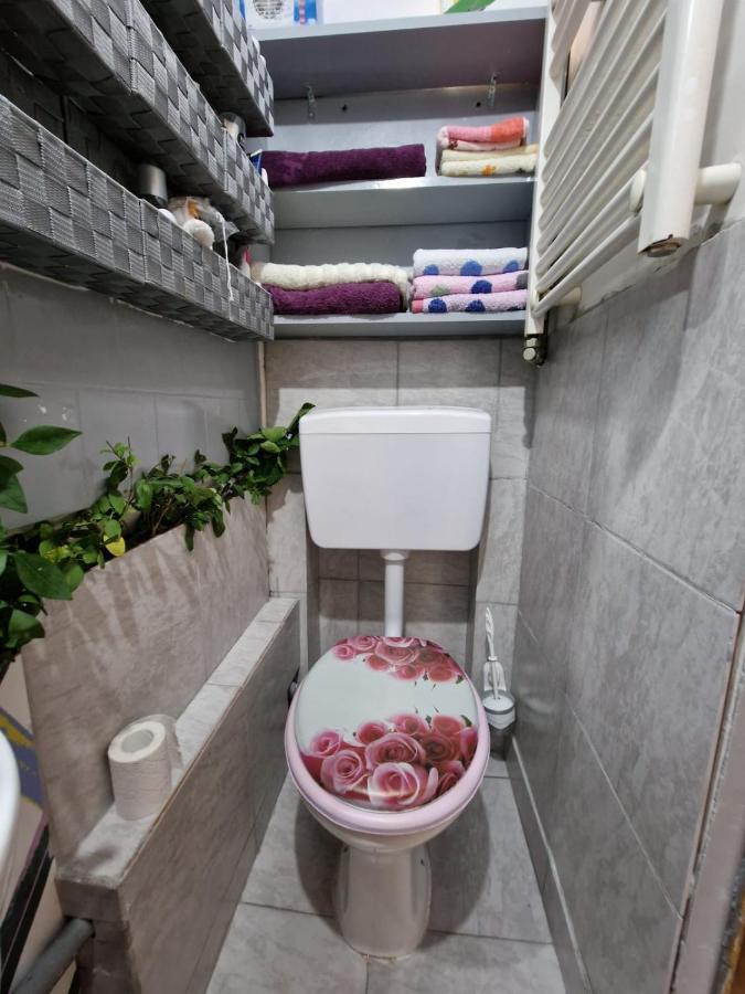 Apartament Ultracentral 2 Piata Muzeului Cluj Napoca Bagian luar foto