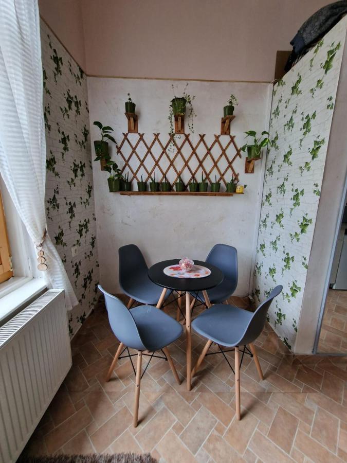 Apartament Ultracentral 2 Piata Muzeului Cluj Napoca Bagian luar foto