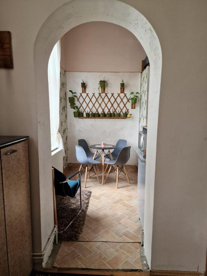Apartament Ultracentral 2 Piata Muzeului Cluj Napoca Bagian luar foto