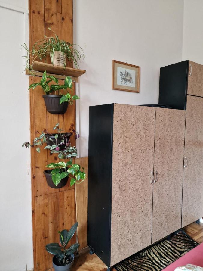 Apartament Ultracentral 2 Piata Muzeului Cluj Napoca Bagian luar foto